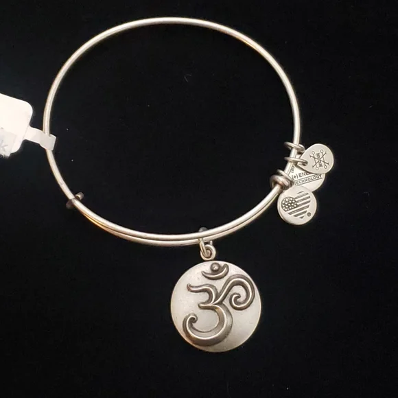 NWT Alex and Ani RS Ohm III 2016 - Picture 1 of 9
